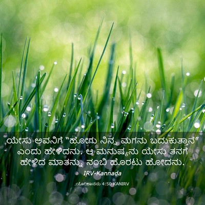 Picture 03 - ಯೋಹಾನನು 4:50 KANIRV - ಯೇಸು ಅವನಿಗೆ “ಹೋಗು - Bible Verse Picture