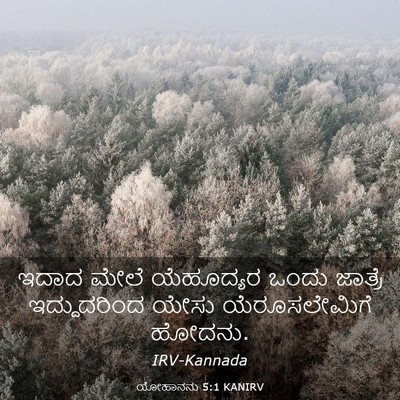 Picture 03 - ಯೋಹಾನನು 5:1 KANIRV - ಇದಾದ ಮೇಲೆ - Bible Verse Picture