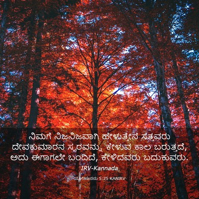 Picture 03 - ಯೋಹಾನನು 5:25 KANIRV - ನಿಮಗೆ ನಿಜನಿಜವಾಗಿ - Bible Verse Picture