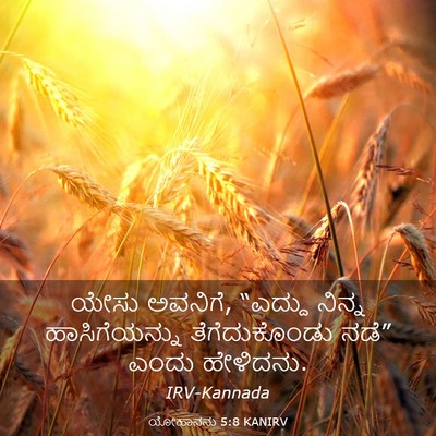 Picture 03 - ಯೋಹಾನನು 5:8 KANIRV - ಯೇಸು ಅವನಿಗೆ, - Bible Verse Picture