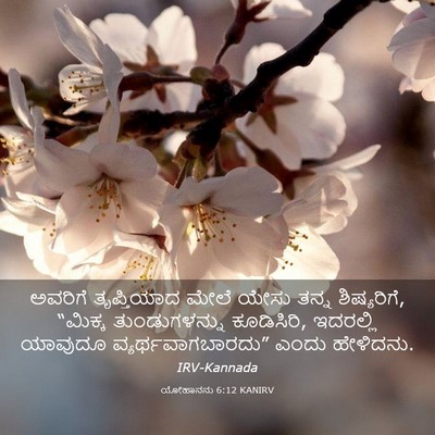 Picture 03 - ಯೋಹಾನನು 6:12 KANIRV - ಅವರಿಗೆ ತೃಪ್ತಿಯಾದ - Bible Verse Picture
