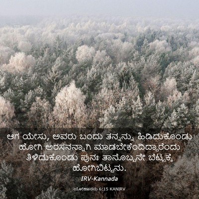 Picture 03 - ಯೋಹಾನನು 6:15 KANIRV - ಆಗ ಯೇಸು, ಅವರು ಬಂದು - Bible Verse Picture
