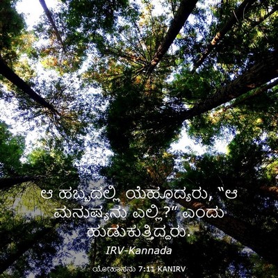 Picture 03 - ಯೋಹಾನನು 7:11 KANIRV - ಆ ಹಬ್ಬದಲ್ಲಿ - Bible Verse Picture