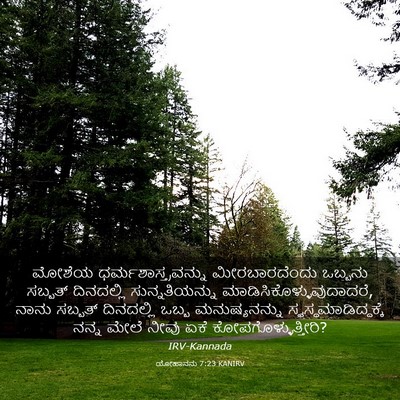 Picture 03 - ಯೋಹಾನನು 7:23 KANIRV - ಮೋಶೆಯ - Bible Verse Picture