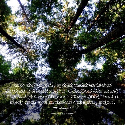 Picture 03 - ರೂತಳು 1:12 KANIRV - ನಾನು - Bible Verse Picture