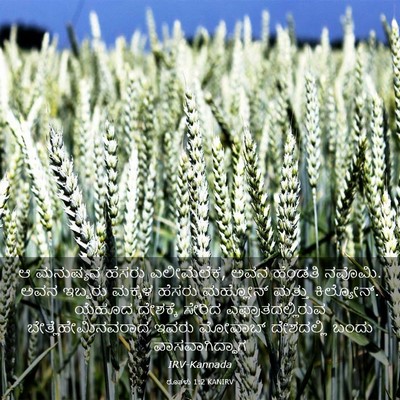 Picture 03 - ರೂತಳು 1:2 KANIRV - ಆ ಮನುಷ್ಯನ ಹೆಸರು - Bible Verse Picture