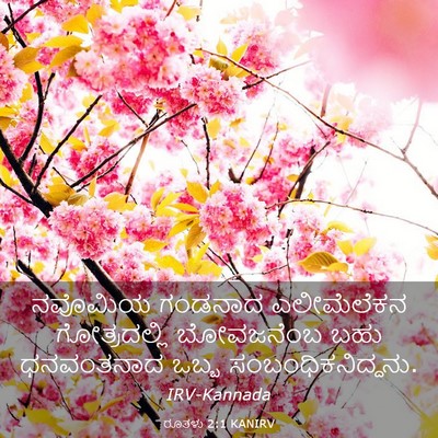 Picture 03 - ರೂತಳು 2:1 KANIRV - ನವೊಮಿಯ ಗಂಡನಾದ - Bible Verse Picture