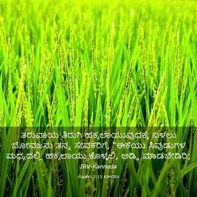 Picture 03 - ರೂತಳು 2:15 KANIRV - ತರುವಾಯ ತಿರುಗಿ - Bible Verse Picture