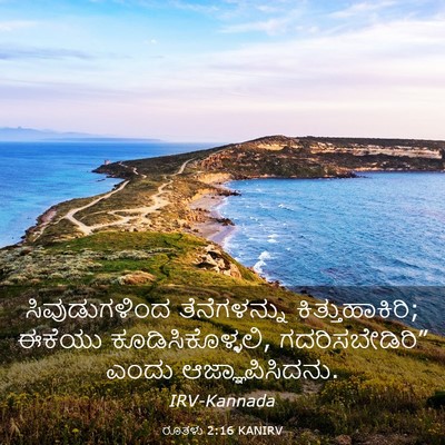 Picture 03 - ರೂತಳು 2:16 KANIRV - ಸಿವುಡುಗಳಿಂದ - Bible Verse Picture
