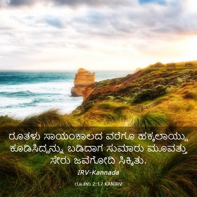 Picture 03 - ರೂತಳು 2:17 KANIRV - ರೂತಳು ಸಾಯಂಕಾಲದ - Bible Verse Picture