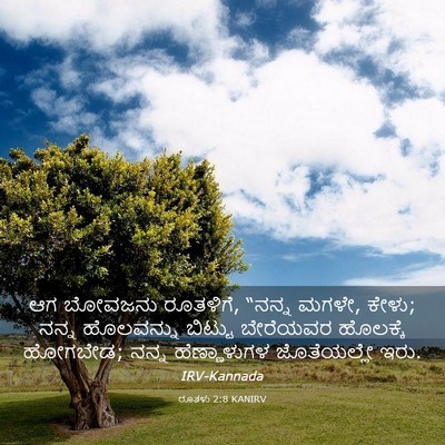 Picture 03 - ರೂತಳು 2:8 KANIRV - ಆಗ ಬೋವಜನು ರೂತಳಿಗೆ, - Bible Verse Picture