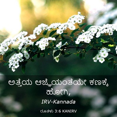 Picture 03 - ರೂತಳು 3:6 KANIRV - ಅತ್ತೆಯ - Bible Verse Picture