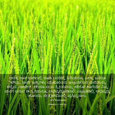 Picture 03 - ರೂತಳು 4:11 KANIRV - ಅದಕ್ಕೆ ಊರ - Bible Verse Picture