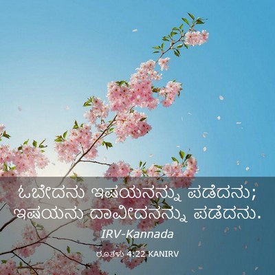 Picture 03 - ರೂತಳು 4:22 KANIRV - ಓಬೇದನು ಇಷಯನನ್ನು - Bible Verse Picture