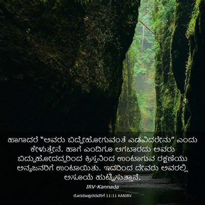 Picture 03 - ರೋಮಾಪುರದವರಿಗೆ 11:11 KANIRV - ಹಾಗಾದರೆ “ಅವರು - Bible Verse Picture