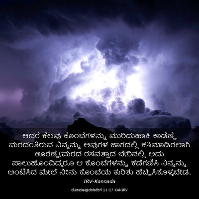 Picture 03 - ರೋಮಾಪುರದವರಿಗೆ 11:17 KANIRV - ಆದರೆ ಕೆಲವು - Bible Verse Picture