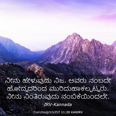 Picture 03 - ರೋಮಾಪುರದವರಿಗೆ 11:20 KANIRV - ನೀನು ಹೇಳುವುದು ನಿಜ. - Bible Verse Picture