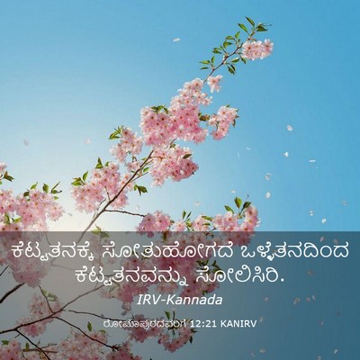 Picture 03 - ರೋಮಾಪುರದವರಿಗೆ 12:21 KANIRV - ಕೆಟ್ಟತನಕ್ಕೆ - Bible Verse Picture