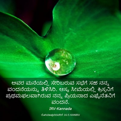 Picture 03 - ರೋಮಾಪುರದವರಿಗೆ 16:5 KANIRV - ಅವರ ಮನೆಯಲ್ಲಿ - Bible Verse Picture