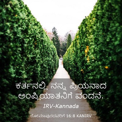 Picture 03 - ರೋಮಾಪುರದವರಿಗೆ 16:8 KANIRV - ಕರ್ತನಲ್ಲಿ ನನ್ನ - Bible Verse Picture