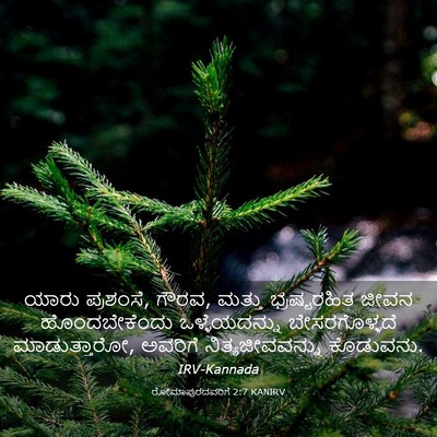 Picture 03 - ರೋಮಾಪುರದವರಿಗೆ 2:7 KANIRV - ಯಾರು ಪ್ರಶಂಸೆ, ಗೌರವ, - Bible Verse Picture