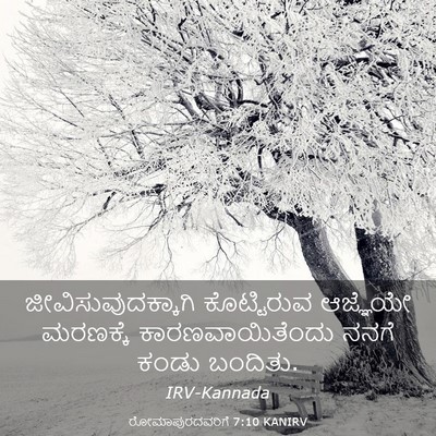 Picture 03 - ರೋಮಾಪುರದವರಿಗೆ 7:10 KANIRV - ಜೀವಿಸುವುದಕ್ಕಾಗಿ - Bible Verse Picture