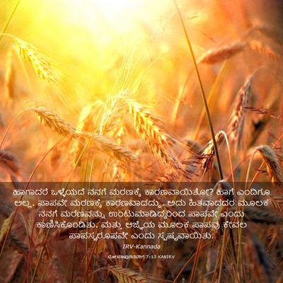 Picture 03 - ರೋಮಾಪುರದವರಿಗೆ 7:13 KANIRV - ಹಾಗಾದರೆ ಒಳ್ಳೆಯದೆ - Bible Verse Picture