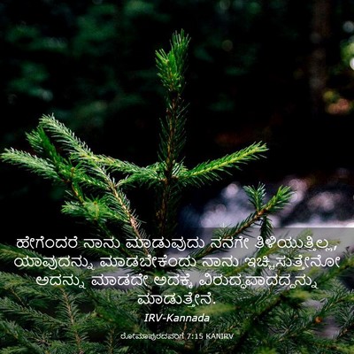 Picture 03 - ರೋಮಾಪುರದವರಿಗೆ 7:15 KANIRV - ಹೇಗೆಂದರೆ ನಾನು - Bible Verse Picture