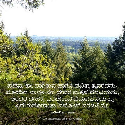 Picture 03 - ರೋಮಾಪುರದವರಿಗೆ 8:23 KANIRV - ಪ್ರಥಮ ಫಲವಾಗಿರುವ - Bible Verse Picture