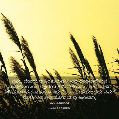 Picture 03 - ಲೂಕನು 1:77 KANIRV - ನಮ್ಮ ದೇವರು - Bible Verse Picture