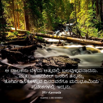 Picture 03 - ಲೂಕನು 1:80 KANIRV - ಆ ಬಾಲಕನು ಬೆಳೆದು - Bible Verse Picture