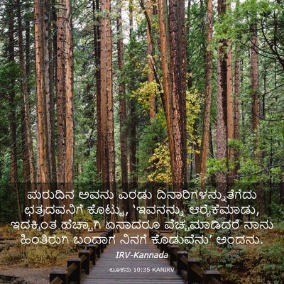 Picture 03 - ಲೂಕನು 10:35 KANIRV - ಮರುದಿನ ಅವನು ಎರಡು - Bible Verse Picture
