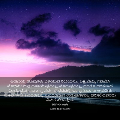 Picture 03 - ಲೂಕನು 12:27 KANIRV - ಅಡವಿಯ ಹೂವುಗಳು - Bible Verse Picture