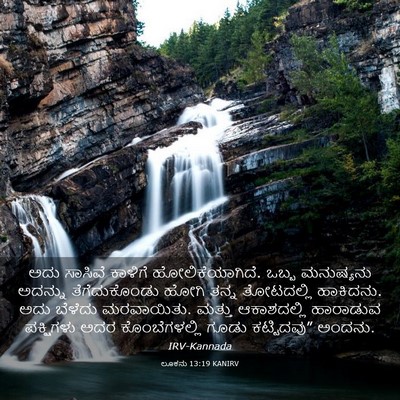 Picture 03 - ಲೂಕನು 13:19 KANIRV - ಅದು ಸಾಸಿವೆ ಕಾಳಿಗೆ - Bible Verse Picture