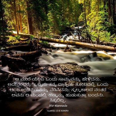 Picture 03 - ಲೂಕನು 13:6 KANIRV - ಆ ಮೇಲೆ ಯೇಸು ಒಂದು - Bible Verse Picture