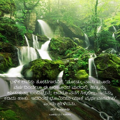 Picture 03 - ಲೂಕನು 13:7 KANIRV - ಬಳಿಕ ಅವನು - Bible Verse Picture