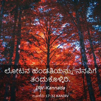Picture 03 - ಲೂಕನು 17:32 KANIRV - ಲೋಟನ ಹೆಂಡತಿಯನ್ನು - Bible Verse Picture
