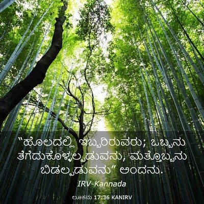Picture 03 - ಲೂಕನು 17:36 KANIRV - “ಹೊಲದಲ್ಲಿ - Bible Verse Picture
