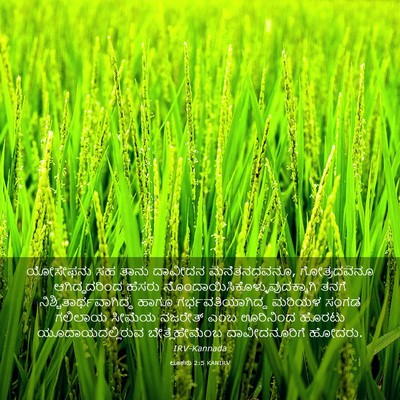 Picture 03 - ಲೂಕನು 2:5 KANIRV - ಯೋಸೇಫನು ಸಹ ತಾನು - Bible Verse Picture