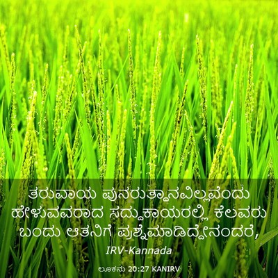 Picture 03 - ಲೂಕನು 20:27 KANIRV - ತರುವಾಯ - Bible Verse Picture
