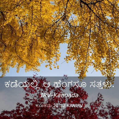 Picture 03 - ಲೂಕನು 20:32 KANIRV - ಕಡೆಯಲ್ಲಿ ಆ ಹೆಂಗಸೂ - Bible Verse Picture