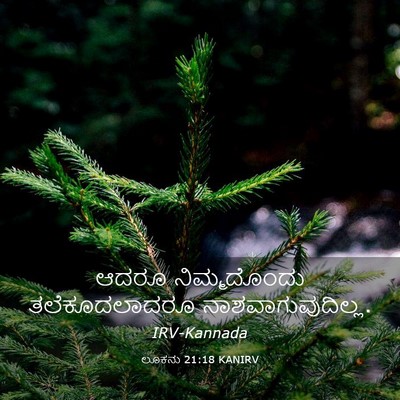 Picture 03 - ಲೂಕನು 21:18 KANIRV - ಆದರೂ ನಿಮ್ಮದೊಂದು - Bible Verse Picture