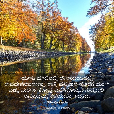 Picture 03 - ಲೂಕನು 21:37 KANIRV - ಯೇಸು ಹಗಲಿನಲ್ಲಿ - Bible Verse Picture