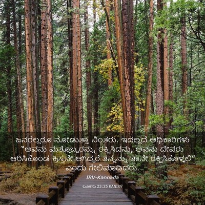 Picture 03 - ಲೂಕನು 23:35 KANIRV - ಜನರೆಲ್ಲರೂ - Bible Verse Picture