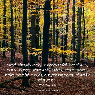 Picture 03 - ಲೂಕನು 24:12 KANIRV - ಆದರೆ ಪೇತ್ರನು - Bible Verse Picture
