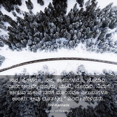 Picture 03 - ಲೂಕನು 24:39 KANIRV - ನನ್ನ ಕೈಗಳನ್ನೂ - Bible Verse Picture