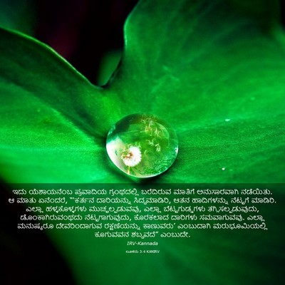 Picture 03 - ಲೂಕನು 3:4 KANIRV - ಇದು ಯೆಶಾಯನೆಂಬ - Bible Verse Picture