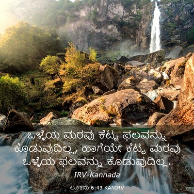 Picture 03 - ಲೂಕನು 6:43 KANIRV - ಒಳ್ಳೆಯ ಮರವು ಕೆಟ್ಟ - Bible Verse Picture