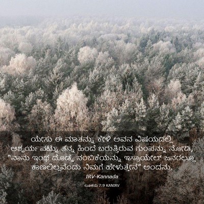Picture 03 - ಲೂಕನು 7:9 KANIRV - ಯೇಸು ಈ ಮಾತನ್ನು - Bible Verse Picture