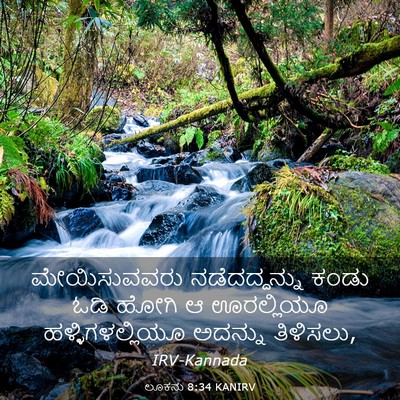Picture 03 - ಲೂಕನು 8:34 KANIRV - ಮೇಯಿಸುವವರು - Bible Verse Picture